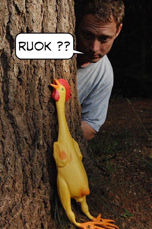 nrlfact's tweet image. 