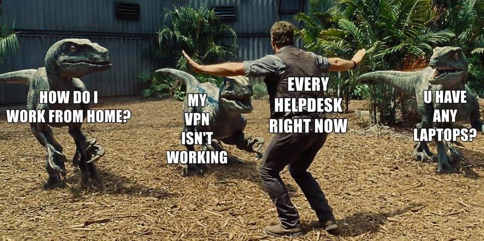 marlinex's tweet photo. @kelbutt what I imagine is happening now (in response to your excessive connection attempts). My husband had 2 days to get this done at his job. Lol. #talesfromlockdown https://t.co/eNkFUvXiIT