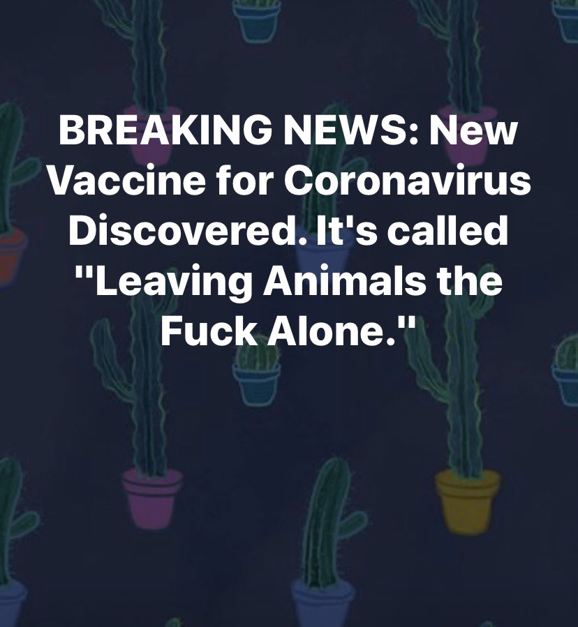 Please remember ... #vaccine #CoronaCrisis #COVID19NL #StayAtHome #Corona #CoronavirusPandemic #lockdown #furbabies #dog #cat #COVID #AnimalRights #AnimalWelfare #Karma #CoronaVirusFacts #SocialDistancing #environment #GoVegan #plantbased #StayHomeSaveLives #StaySafeStayHome