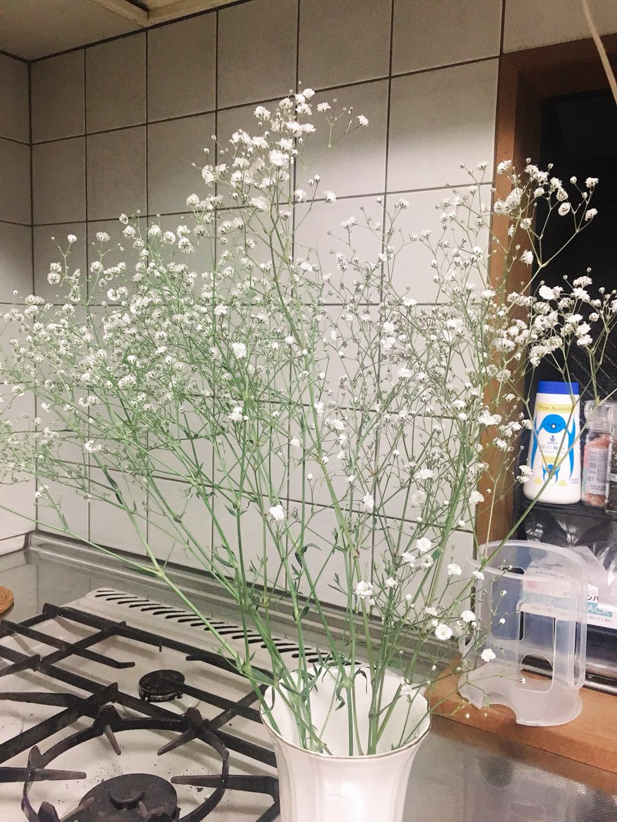 苓也 V Twitter 撮影で使ったかすみ草は生けました 真っ白な花束ってとても可愛い けど かすみ草はちょっと不思議な匂いがします