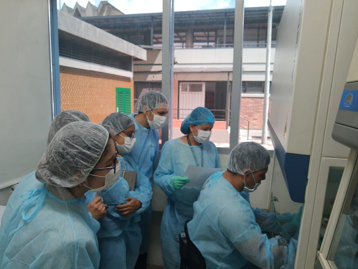 INSColombia's tweet photo. #AEstaHora estamos en el Laboratorio de Parasitología en la práctica con las universidades y laboratorios que se están capacitando en la técnica diagnóstica para detectar  SARS-CoV-2 #TodosContraCOVID #OrgullosamenteINS 
🧪🙌👏 https://t.co/XzYJmMc7XA