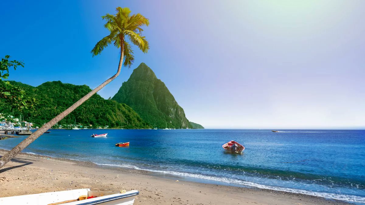 sam_rhys's tweet image. social distancing is really helping Llanelli recover from pollution, the oceans have cleared and the wildlife is returning !! amazing to see