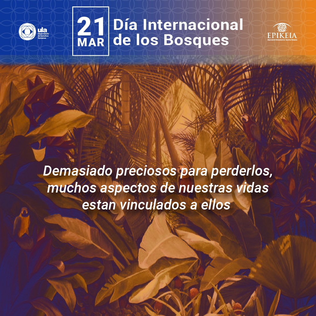 Uladdhh's tweet photo. #DíaInternacionalDeLosBosques
Los bosques son fundamentales para combatir el cambio climático, por lo que contribuyen significativamente al beneficio de las generaciones presentes y futuras.
#21Mar
#DDHHHMERIDA https://t.co/AB9G99lUCG