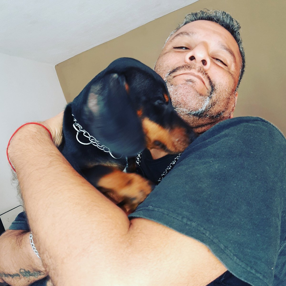 Más conozco a las personas... más quiero a mi perro 
Sr. Tostada
#yomequedoencasa