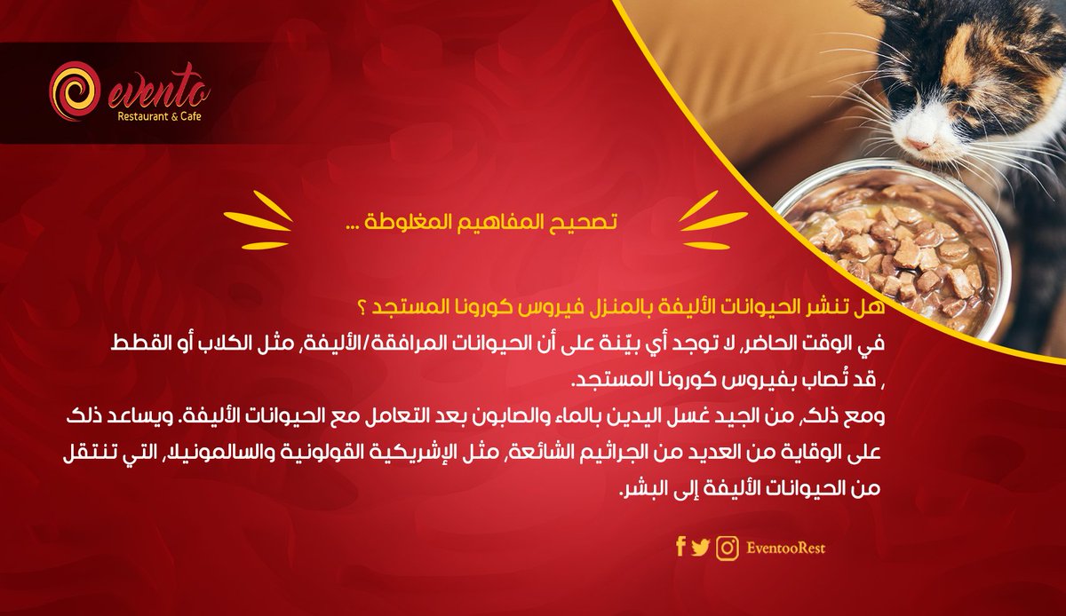 EventooRest's tweet photo. عندك حيوان اليف في البيت وخايف يكون قادر انه ينقلك الفيروس ؟؟ اطمن 😀

#كوفيد19
#Covid19
#مش_اى_مطعم_يبقى_Evento 😎
#Taste_you_like_it
#3BOX_Advertising https://t.co/1FcPqWiXiR