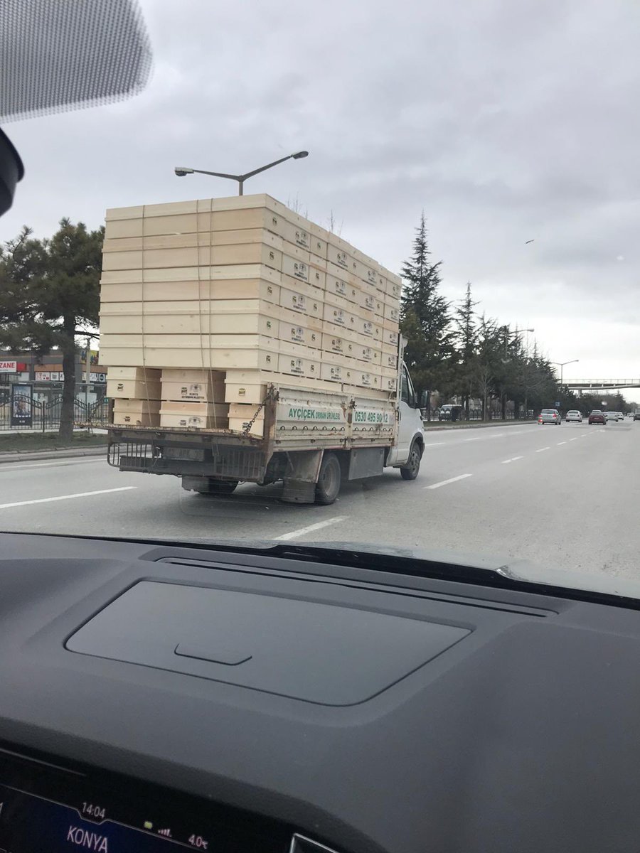 #EvdeKal denilmesinden kimse anlamıyor, belki bu fotoğraflar biraz konunun ciddiyetini gösterir...