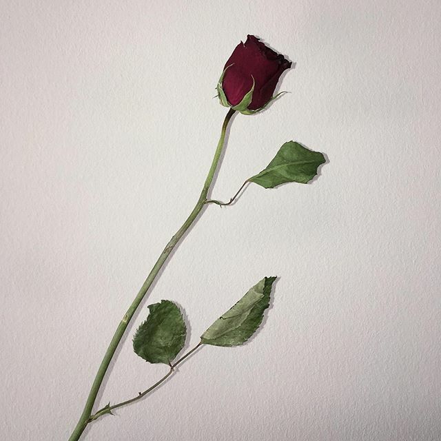 Marios Stamatis tweet media