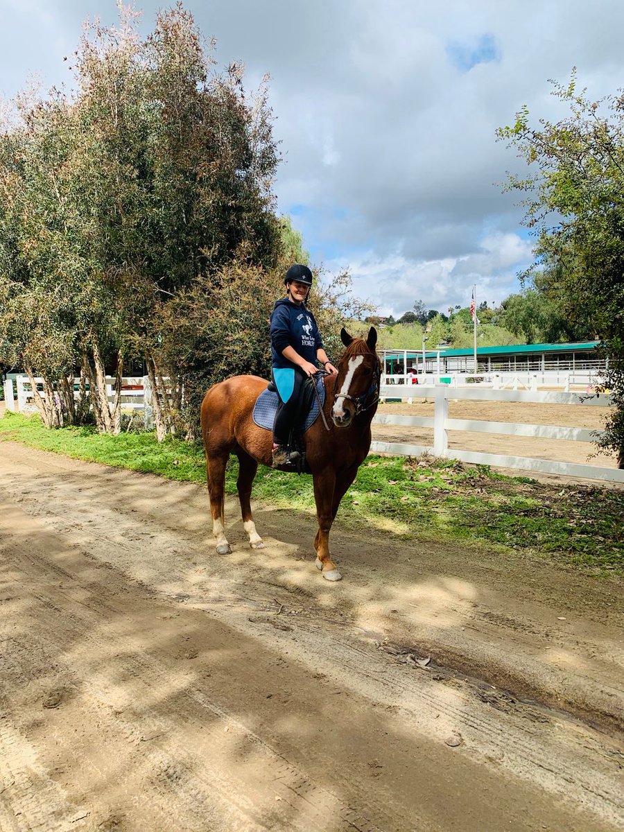 reinsprogram's tweet image. REINS Instructor Nikki H. has been busy making sure our horses get good exercise and training to keep their bodies healthy and their minds sharp in the absence of their regular daily lessons. The property is such a beautiful place to ride as spring approaches! 🌸 🌳