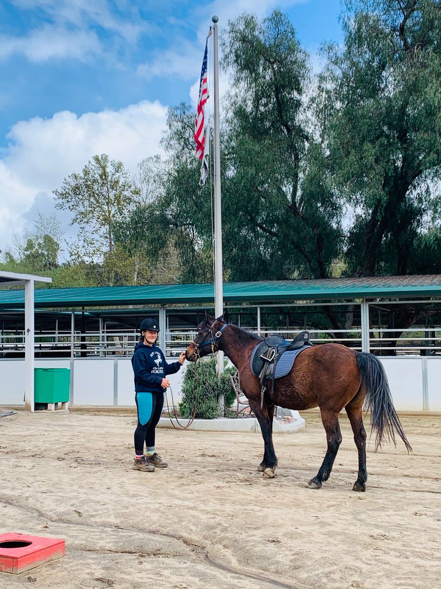 reinsprogram's tweet image. REINS Instructor Nikki H. has been busy making sure our horses get good exercise and training to keep their bodies healthy and their minds sharp in the absence of their regular daily lessons. The property is such a beautiful place to ride as spring approaches! 🌸 🌳