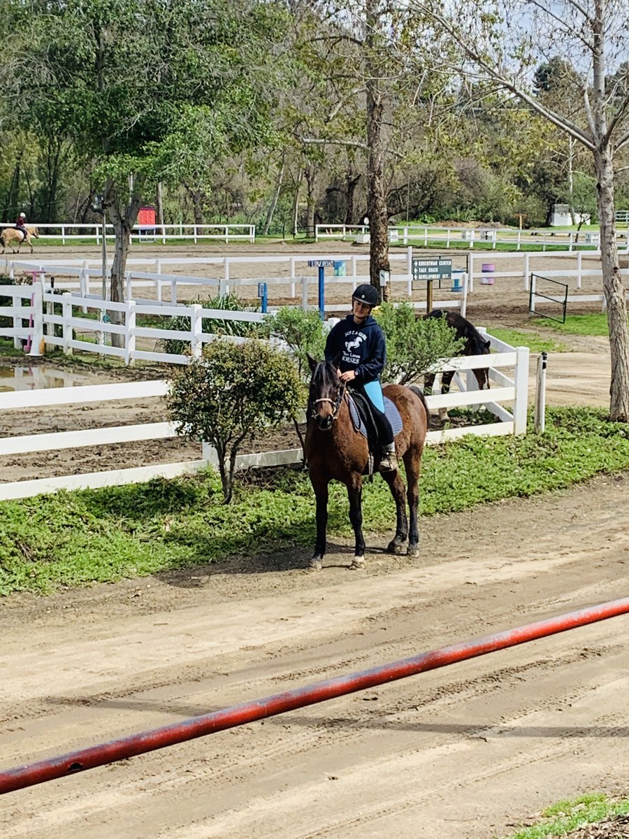 reinsprogram's tweet image. REINS Instructor Nikki H. has been busy making sure our horses get good exercise and training to keep their bodies healthy and their minds sharp in the absence of their regular daily lessons. The property is such a beautiful place to ride as spring approaches! 🌸 🌳
