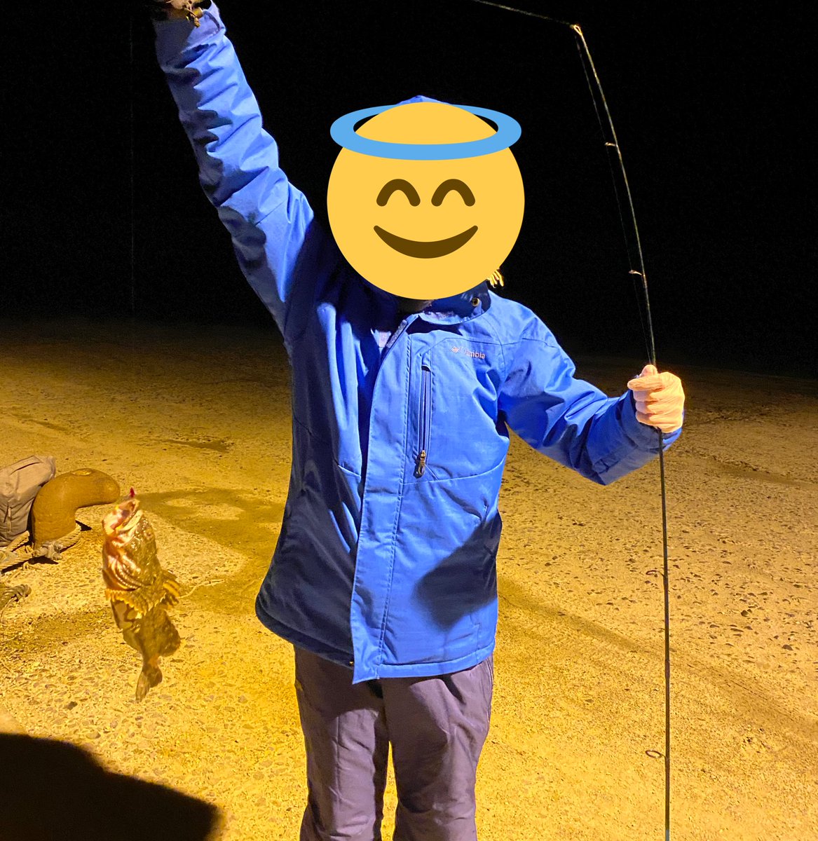 釣り愛好家 瀬棚港で夜釣りをしてきました 三人で33 36cmのホッケ4匹 35cmのカジカ1匹が釣れました また弟が釣れて居たので自分も釣れる頑張ろうと思います