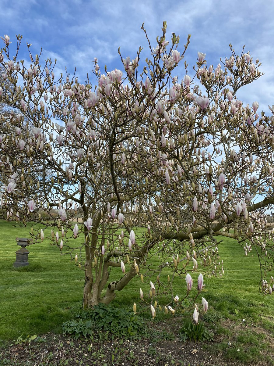 Pine Cones And Acorns The View From My Kitchen Sink
