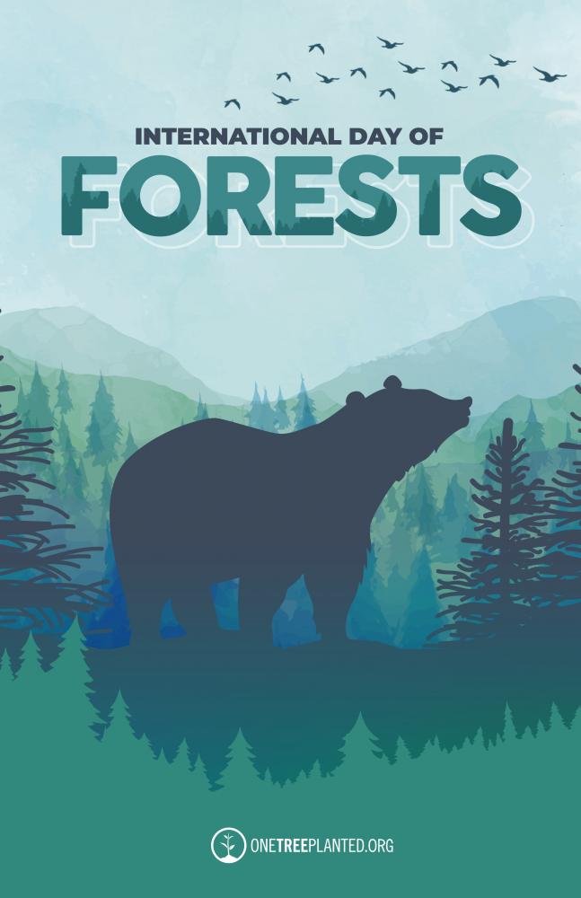 Happy International Forest Day!

Go check out the <a href="/onetreeplanted/">One Tree Planted</a> website to view their most recent initiates and to read more on why trees are so vital to our environment. While you're at it, plant one tree for one dollar!

PC: <a href="/onetreeplanted/">One Tree Planted</a>