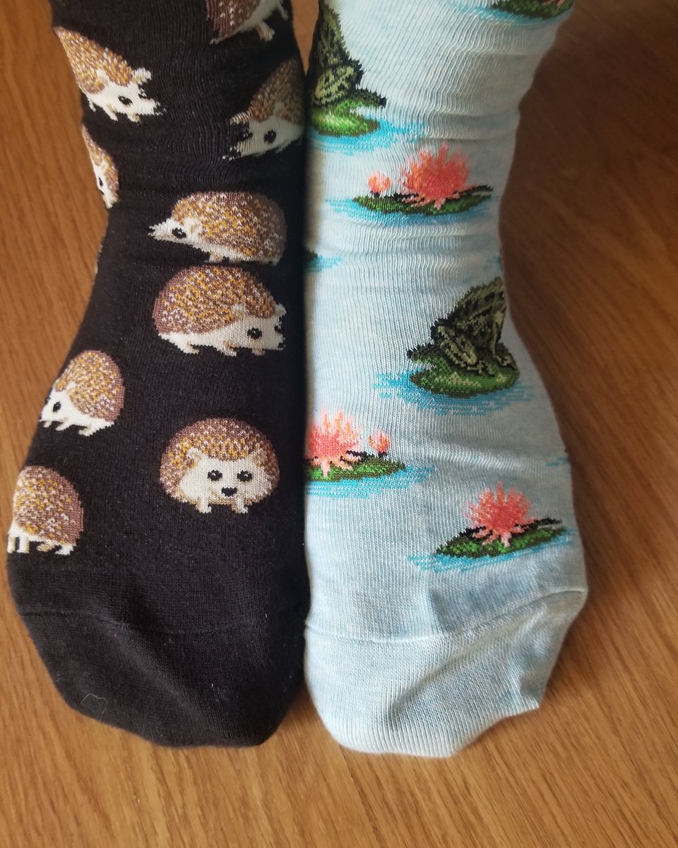 BESKDaniel's tweet image. Rockin my socks for @SouthCCAC! #WorldDownSyndromeDay #srhsrockyoursocks20