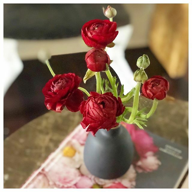 “Looking at beautiful things is what makes me the happiest.” ~ Ali McGraw ift.tt/33BU1YB