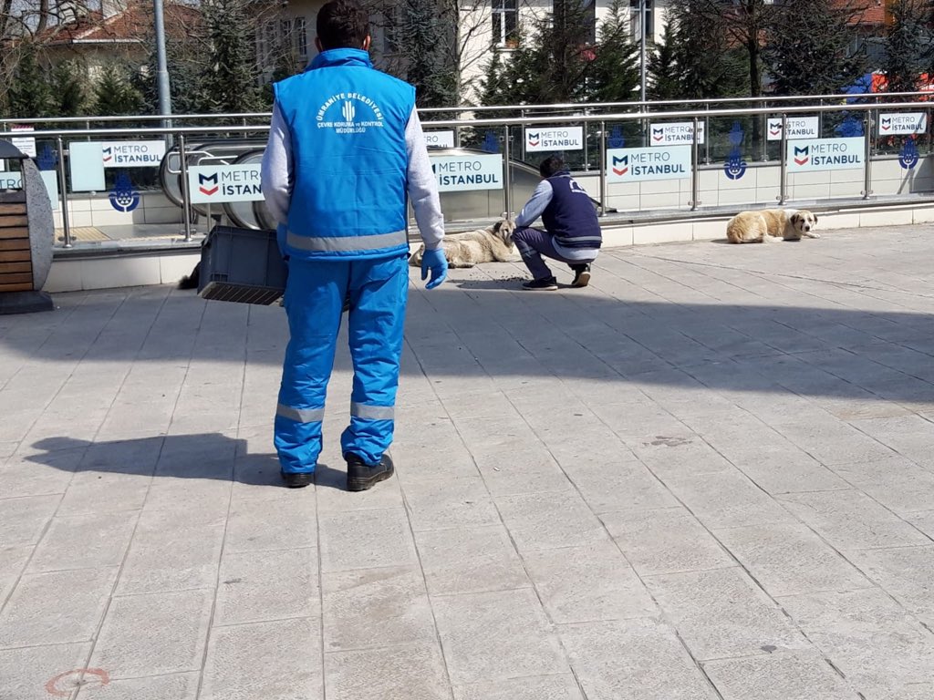 umraniyebeltr's tweet photo. Hayvanseverlerimizin gözü arkada kalmasın. Esnafımızın sevgiyle beslediği hayvan dostlarımızı unutmuyoruz. Yemleri ve sularını veriyoruz. https://t.co/15zYvjxsNa