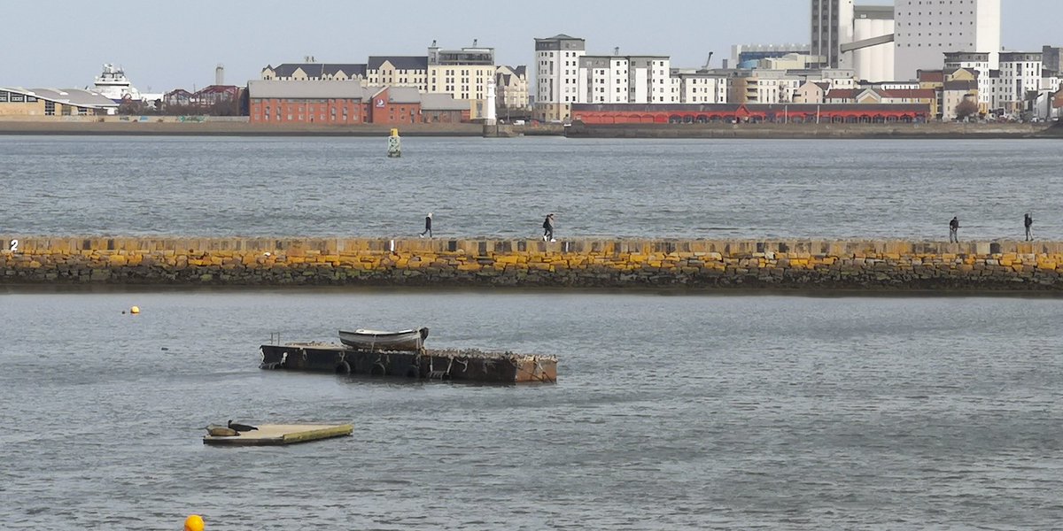wardiebaybeach's tweet photo. Time to witness some subtleties at Granton Harbour. Yin and Yang just got unceremoniously swooped off the pontoon by some impatient Knots who decided seal time was up for today. They want their pontoon back! #LearningtoShare #community https://t.co/Ql1Wol63Oy