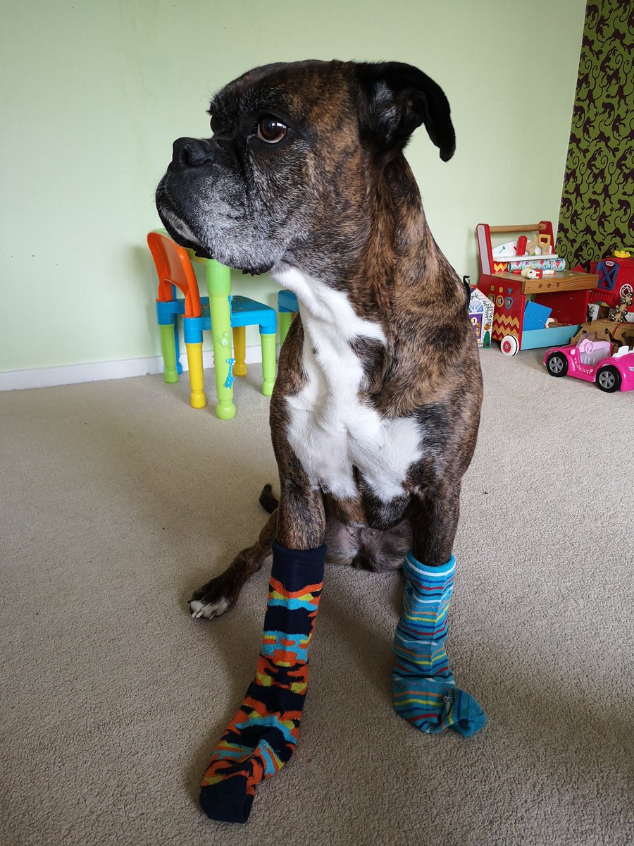 RebeccaHillRNLD's tweet image. The Hill's may be poorly and in #Isolation, but that's not stopped us wearing our #LotsOfSocks and #differentsocks with pride to celebrate #WDSD2020.
#WeDecide
@DSAInfo
@Rob_DW_Hill