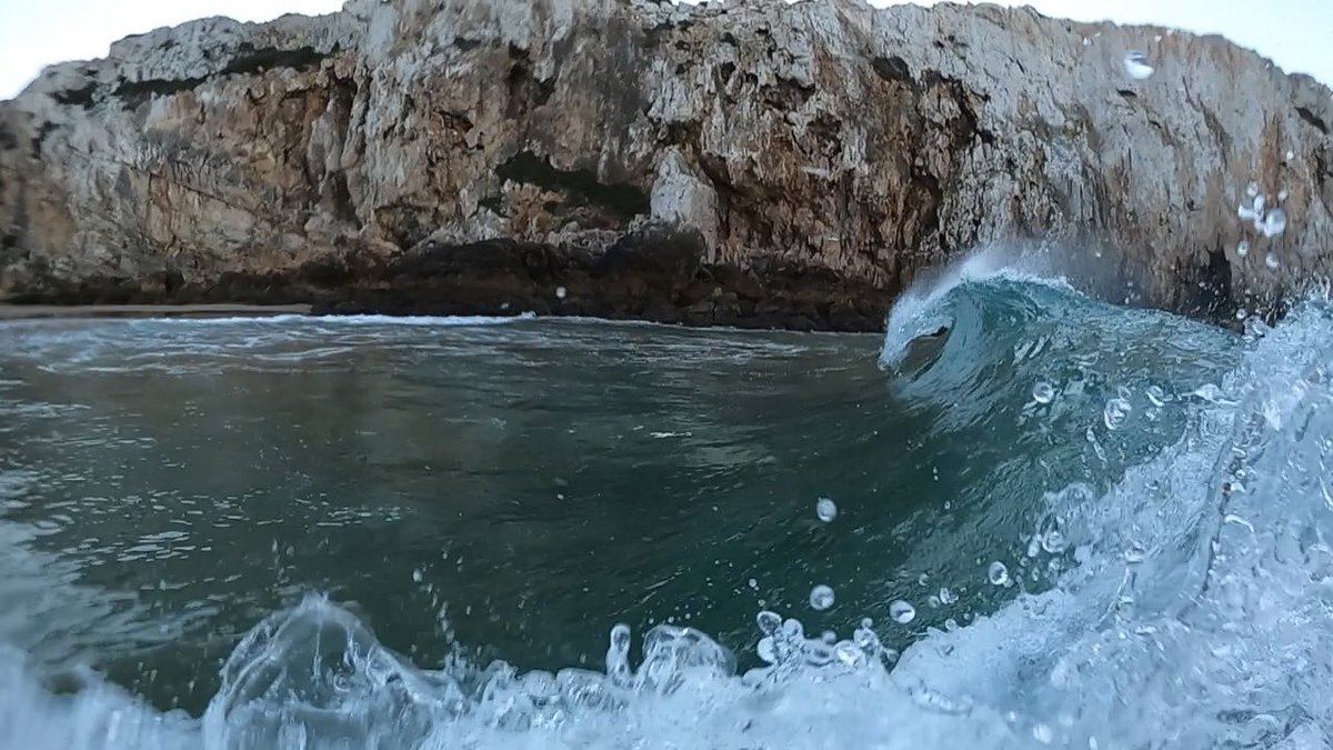 NorthsideSurf tweet media