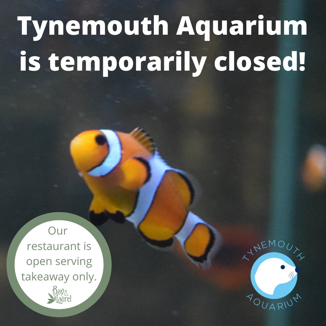 Tynemouth Aquarium tweet media