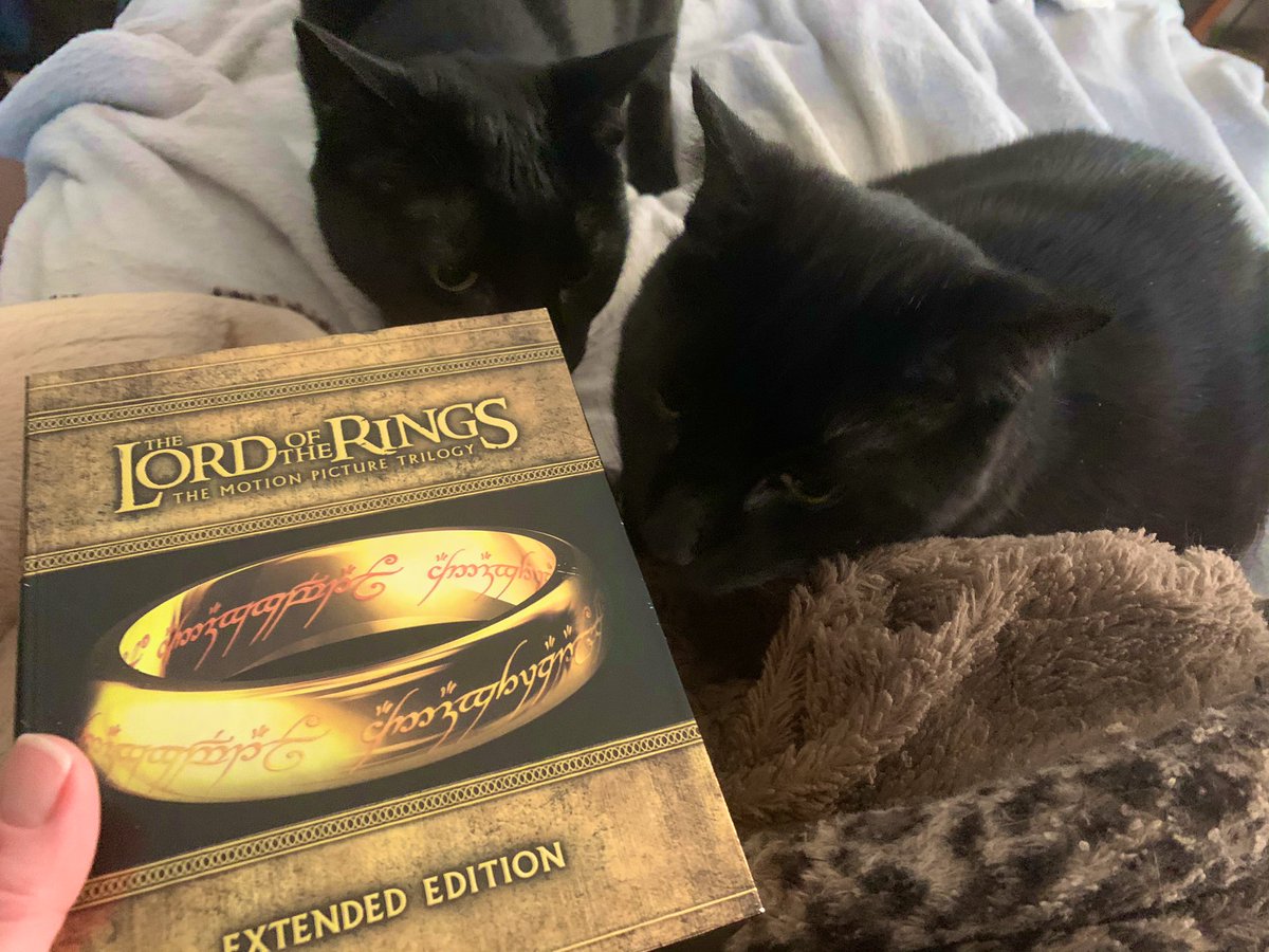Was in a bit of a panic because the  #LotR Blu-Rays weren’t on my dad’s old shelf, but I have located them & the boys seem to approve! Can’t wait for  @kristinnoeline to experience this magic for the very first time.  #FeelsLikeTheFirstTime  #Caturday  #TheLordOfTheRings  #RIPDad  #cats