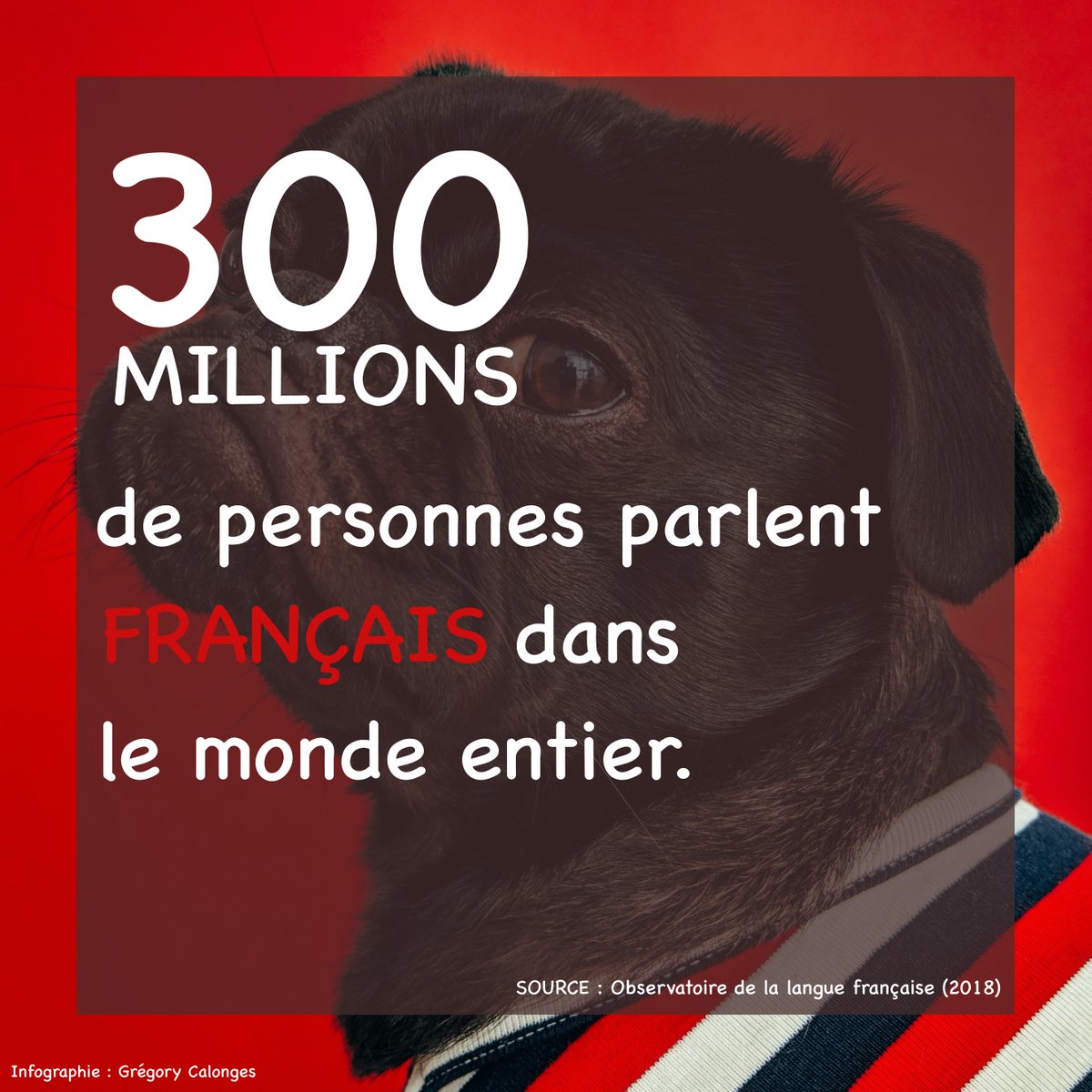 Hier marquait les #50ansFrancophonie. Le #français est une langue d’émotions, une langue diplomatique, une langue d'#affaires, une langue riche, une langue d’avenir. Soyons fiers de cette langue! #Francophoniedelavenir <a href="/OIFrancophonie/">La Francophonie</a> <a href="/LMushikiwabo/">Louise Mushikiwabo</a> <a href="/MRIF_Quebec/">Relations internationales du Québec</a> <a href="/OQLF/">OQLF</a>