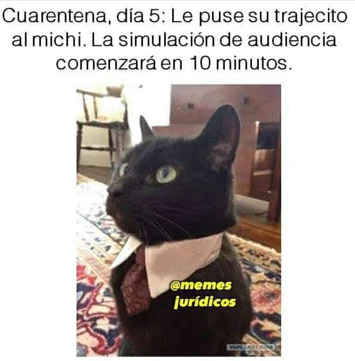 NataliaC.Orozco tweet media