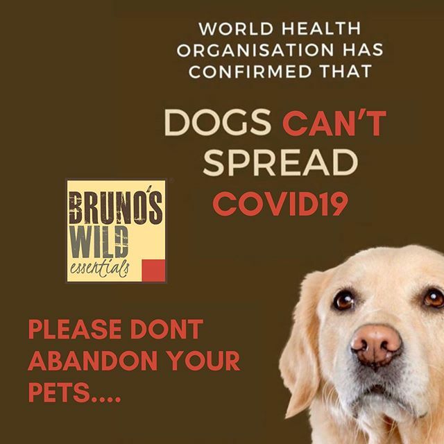 Pets Dont Spread #covid_19 
kindly share and educate the public! #dogsofinstagram #dogsofindia #petsofindia #puppiesofinstagram #dogsofbangalore #dogsofdelhi #dogsofmumbai #dogsofgurgaon #dogsofhyderabad #dogsofchennai #dogfood #brunospetfoods #bundleofh… ift.tt/33BTC8q