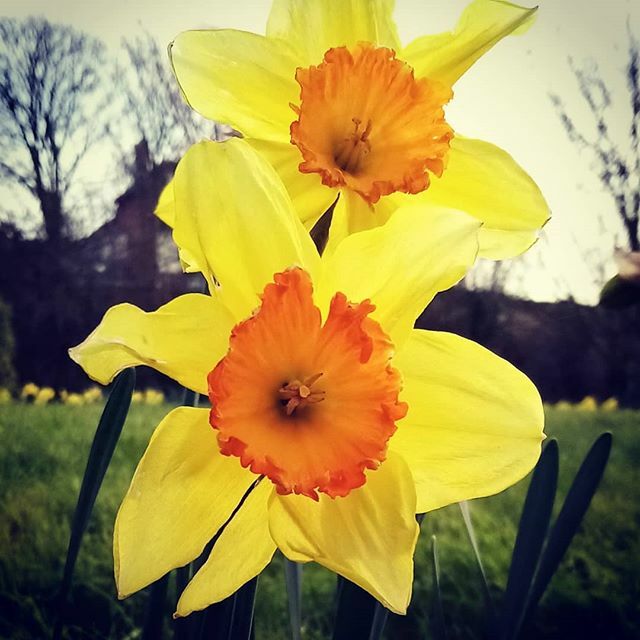 Animal House tweet media