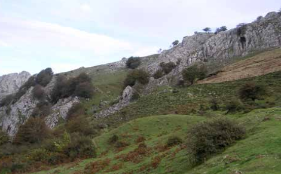 Ekobideak's tweet photo. En cambio, si decidimos ir a la zona de #Larrano, nos vamos a sorprender ya que el paisaje geológico es parecido pero la composición no. Volvemos a encontrar calizas arrecifales (del urgoniano) pero hay una gran diferencia: en esta área podemos localizar una intrusión basáltica. https://t.co/IK80vzmlnF