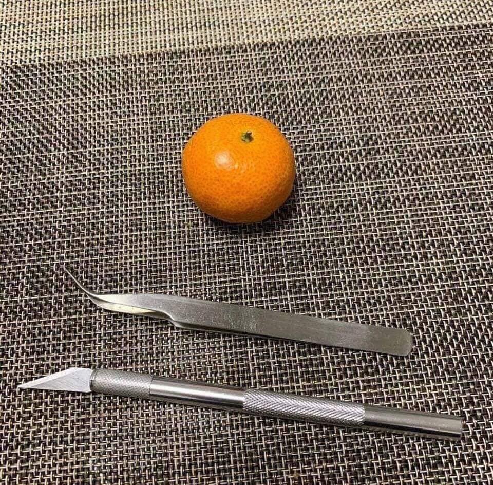 pasdeviceici's tweet photo. Jour 6 de la quarantaine: la césarienne s'est bien déroulée. Les enfants sont en grande forme et la mère se remet https://t.co/b9Erh1Jx7l