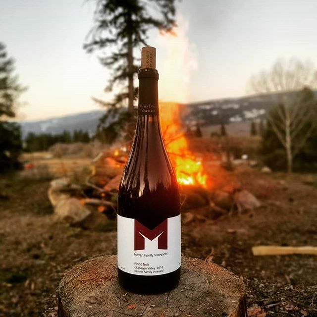WineQuarterback's tweet photo. 2016 @mfvwines Reimer Vineyard

Super soft on the palate with tons of depth.

This was the last vintage they had in this East Kelowna vineyard before handing the keys back to the Reimers who now have their own brand @mirabelwine

If you're a Pinotphile a… https://t.co/dDwXT112bO https://t.co/l6ISAN1nXj