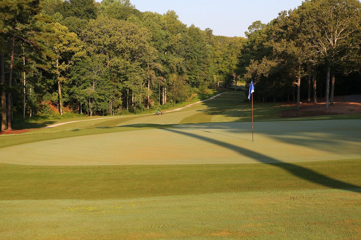 Carolina Trace CC tweet media