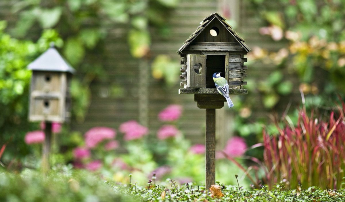 BARNBURY tweet media