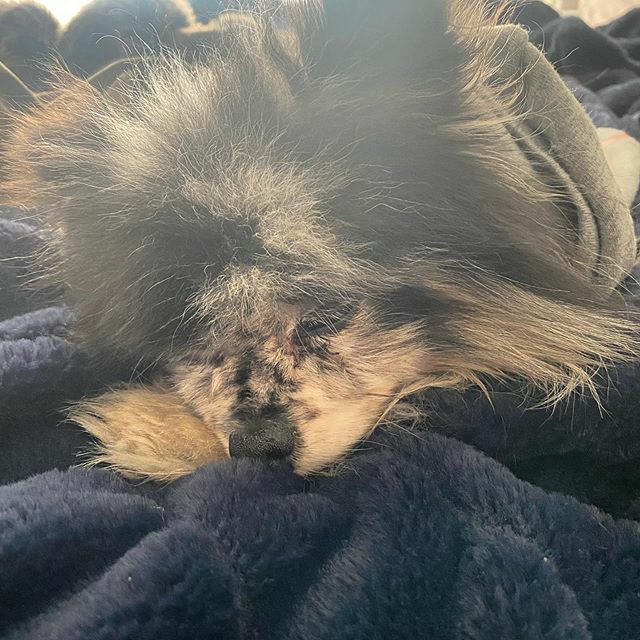 kirkvarner's tweet photo. This is the face of #Coronavirus news overload. Stay safe and don’t forget to take care of your mental health too. https://t.co/FcFaDk3ak7 https://t.co/vAJjq2ERaL