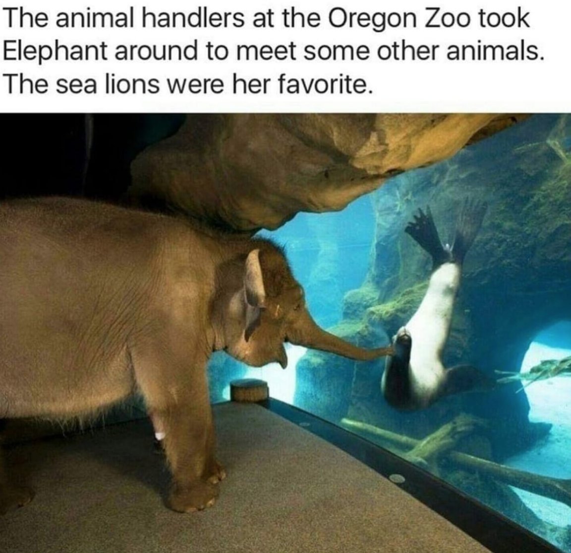 MensHumor's tweet photo. Finally some good news. https://t.co/bEK0SYLyL1