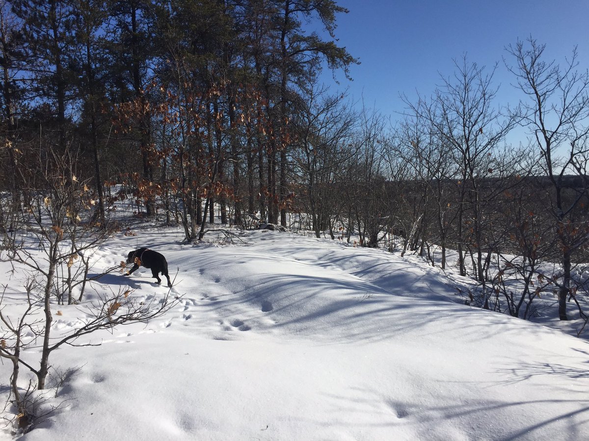 marthaCBC's tweet photo. Beautiful day out there #getoutside #SocialDistanacing #safesocialization https://t.co/4MGYo2vELS