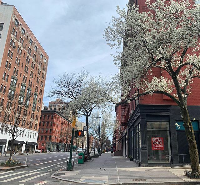 mayarosecreates's tweet photo. The new normal: empty streets, closed stores and hints of springtime. 
#covid_19 #upperwestside #newyorklife #findingpeace https://t.co/QFxZA4FUWD https://t.co/8IgOq8Ru2G