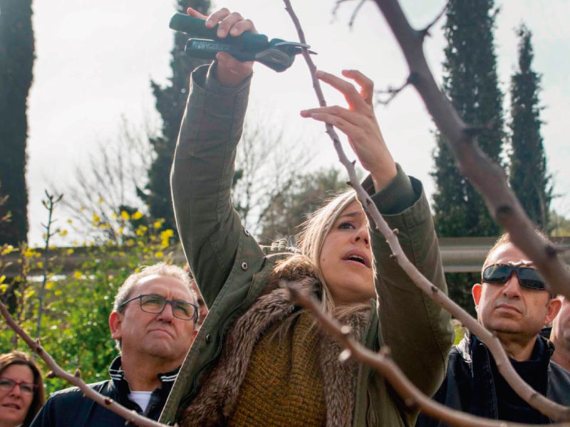 appistaco's tweet photo. VÍDEO resumen V Jornada de Convivencia entre los asociados de #APPISTACO el pasado 7 marzo📽️👉https://t.co/n5sOBJu7Hh
▶️Curso de poda en una plantación con árboles de 5 años, asamblea general ordinaria y comida para recargar pilas... TODOS LOS DETALLES👉🌐https://t.co/b9YV7Hjfd4 https://t.co/zcIy48VXmI