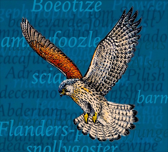 Haggard Hawks 🦅📚 Words, Language