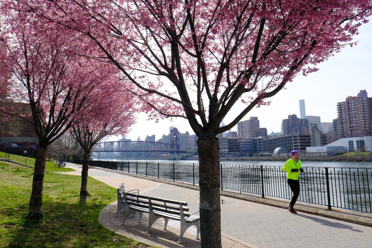 A runner wearing gloves practices solo exercise and social distancing along the waterfront in Queens' Rainey Park.