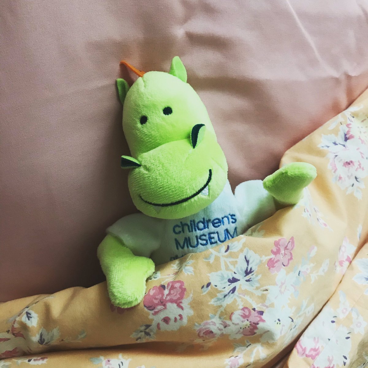 exploreCML's tweet photo. Hi friends! DooDash here. I don’t know about you, but I like to sleep in on the weekends. Staying home can be tough, but I’m gonna show you some of the stuff I’ve been doing to keep myself busy! Stay tuned! #DooDash #CML #chsplays #MuseumAtHome #MuseumFromHome #socialdistancing https://t.co/ZzEUsyo7bi