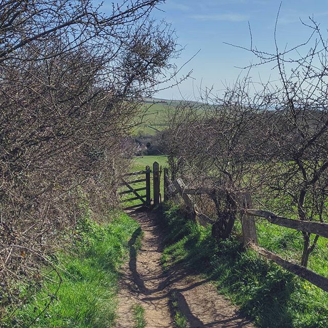 CraigBaldwin's tweet photo. Just a little path and kissing gate. The walk was enjoyable but the wind got a bit bothersome. 
#walk #sevensisters #countryside #escapingcoronavirus https://t.co/JkyLfFh1f0 https://t.co/kN1hlrEcOD