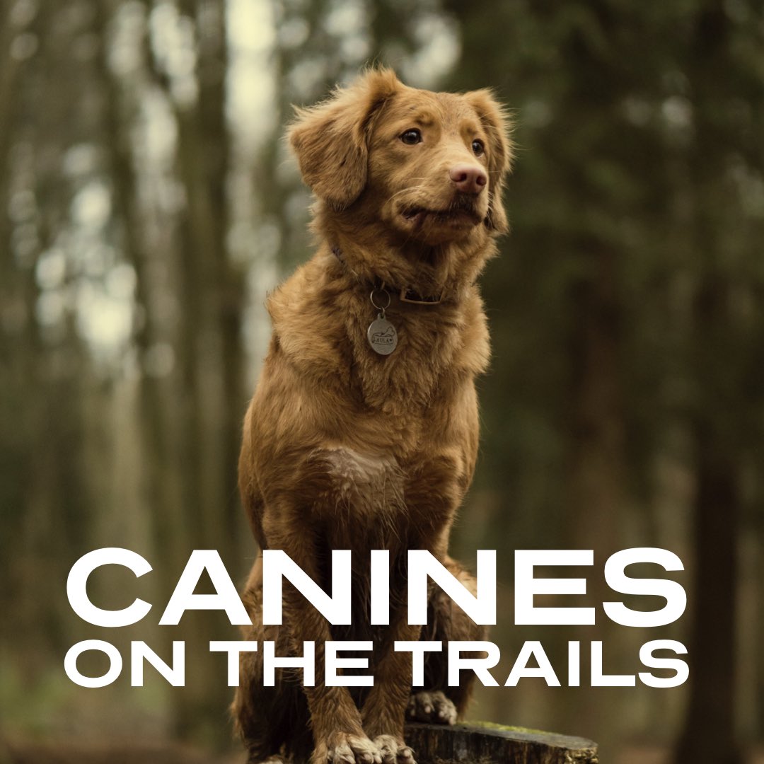 McDade Trail is a good on-leash walk for your dog 🐕 
Our personal #pets love it there and our #dogadventures service can happen there. 
🐾 🐾 
#pikecountypa #nepa #milfordpa #dingmansferry #mcdadetrail #pahiking #pets #dogs #SaturdayMorning
PikePets.com