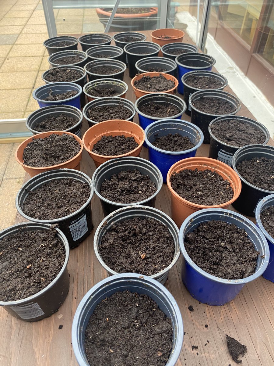 To old people in Sandringham, my name is Denver, I am from Tandragee Beavers.
I heard you are not allowed visitors so I felt sad. 
I decided to give a wee gift of kindness. Denver age 6
Accompanied by a huge box of 🌻 <a href="/Carolcousins3/">Carol Cousins</a> @FourSeasonsHCUK <a href="/tpalmer321/">Tracey Palmer</a>