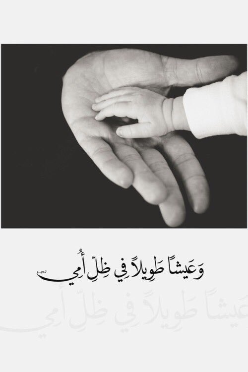 Wafa✨ tweet media