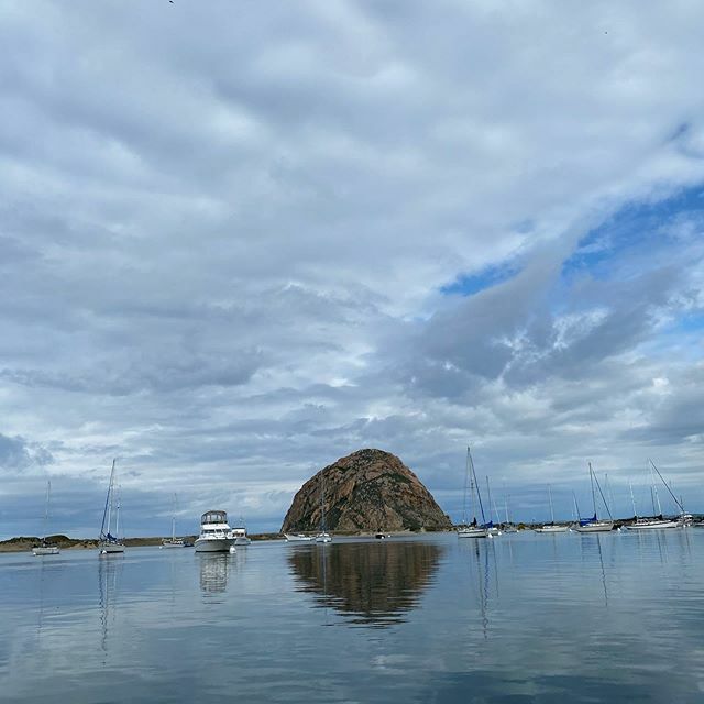 The Paddleboard Co. tweet media