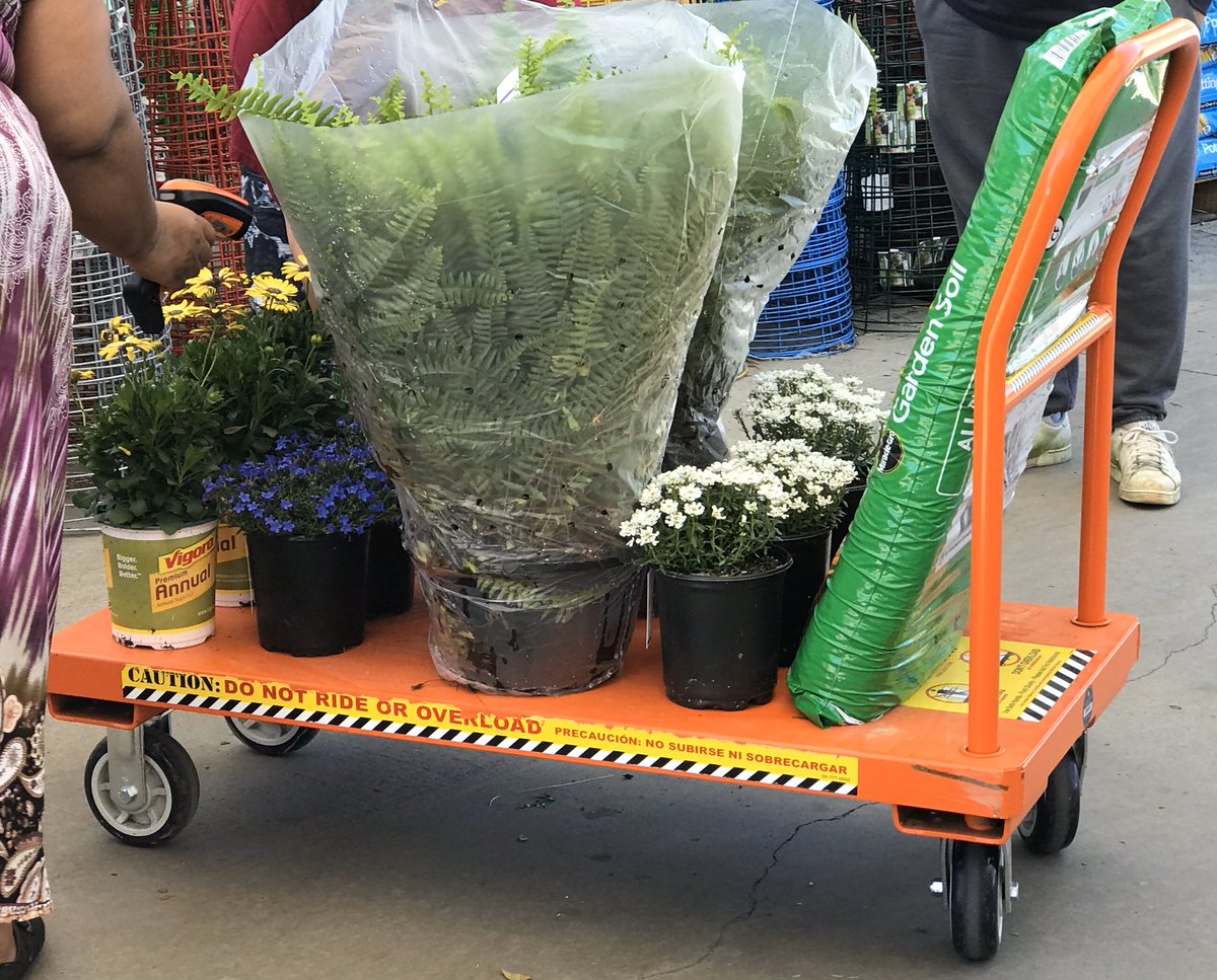 PPS_Melanie's tweet photo. What a beautiful day to work in your yard!!
@PPSinHD https://t.co/lmoF9GGZiB