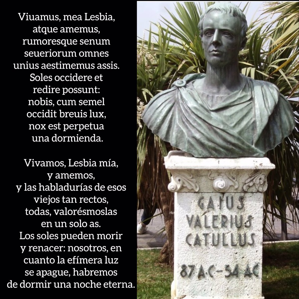 BarcinoOriens's tweet photo. Gaius Valerius Catullus
Viuamus, mea Lesbia, atque amemus.
Vivamos, Lesbia mía, y amemos.
Visquem, Lèsbia meva, i estimem.
Let us live, my Lesbia, and love.
#Poesia #Poetry #Lesbia #Catul #DiaMundiaPoesia #Catullus #Cátulo #DiaMundialDeLaPoesia #CulturaClàssica #CulturaClásica 📖 https://t.co/Es5SngQTul