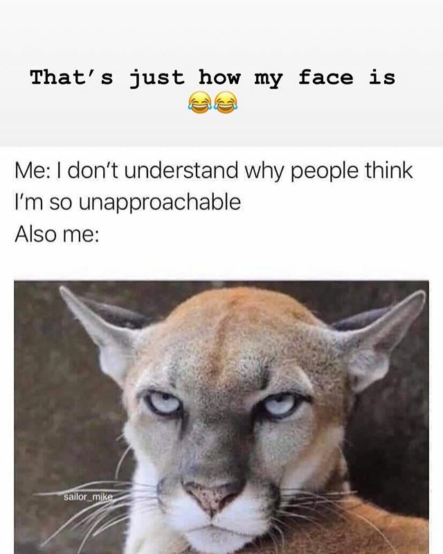 Katknitclark's tweet photo. For real tho .... it’s just my face!! 😂😂😂 https://t.co/VnJIC1eeYY https://t.co/AP8RqzyLke